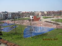 IMG 0179