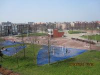 IMG 0186