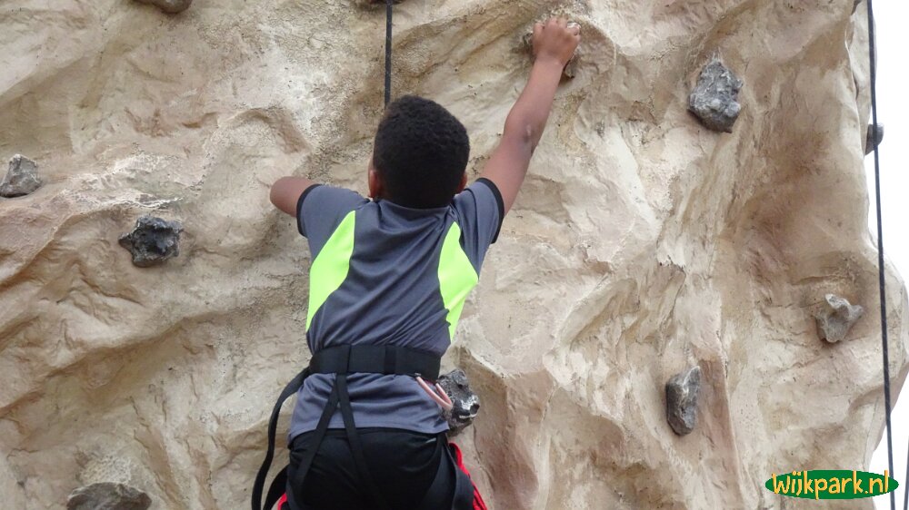 Herfstactiviteit Joubertplantsoen