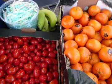 Haagse Hopjes Transvaal