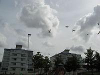 IMG 2405
