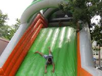 IMG 2386
