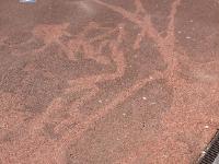 IMG-20150430-WA0004