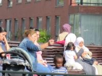 IMG 0743