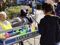 DSC1066
