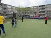 IMG 7421