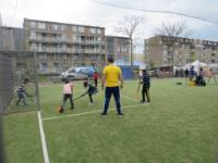 IMG 7428