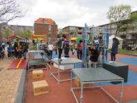 IMG 7485
