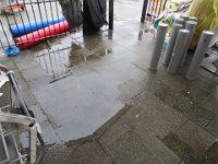 IMG 7801