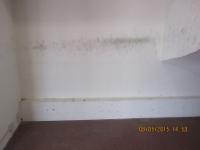 IMG 0160