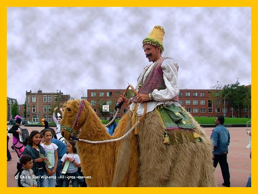 Transvaal-roel - 146