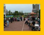 Transvaal-roel - 126