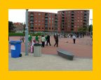 Transvaal-roel - 021