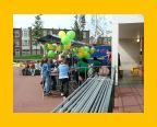 Transvaal-roel - 004