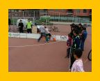 Transvaal-roel - 084