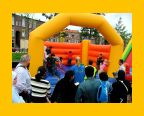 Transvaal-roel - 097