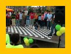 Transvaal-roel - 119