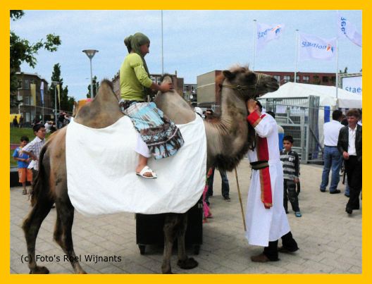 Transvaal Haagse Hopjes 2008 - 035