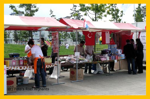 Transvaal Haagse Hopjes 2008 - 004