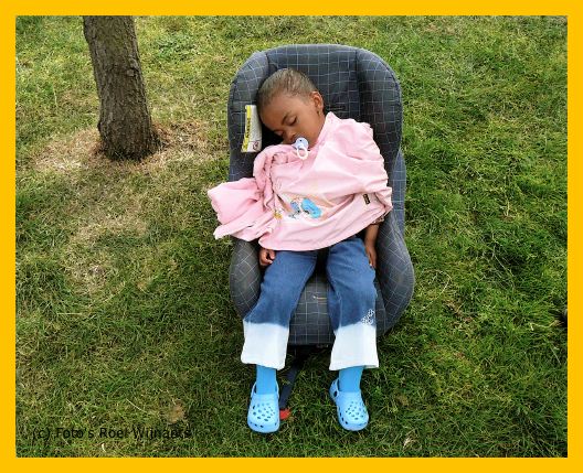 Transvaal Haagse Hopjes 2008 - 089