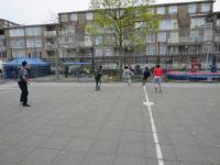 IMG 0655