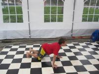 IMG 0951
