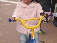 IMG 0005