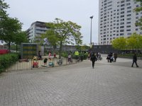 IMG 7761