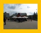 IMG_5646