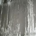 Previous image