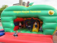 IMG 4061