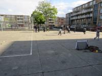 IMG 4214