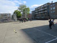 IMG 4215