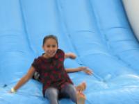 IMG 6088