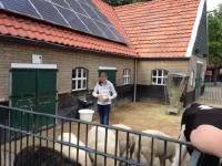 0109ad0f0553b6520ff3bc2629b9b968272c8e437d