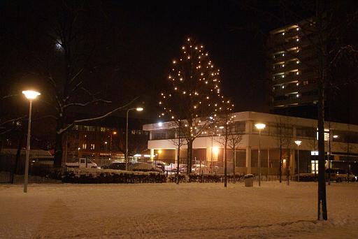 Haagse Hopjes: Kerstverlichting Wijkpark Transvaal