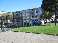IMG 0701